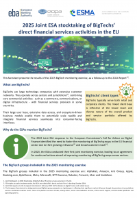 2025 Joint ESA stocktaking of BigTechs’ direct financial services activities in the EU