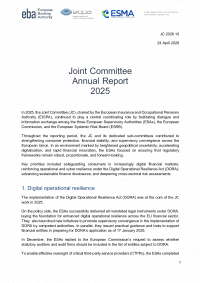Joint Committee Annual Report 2025